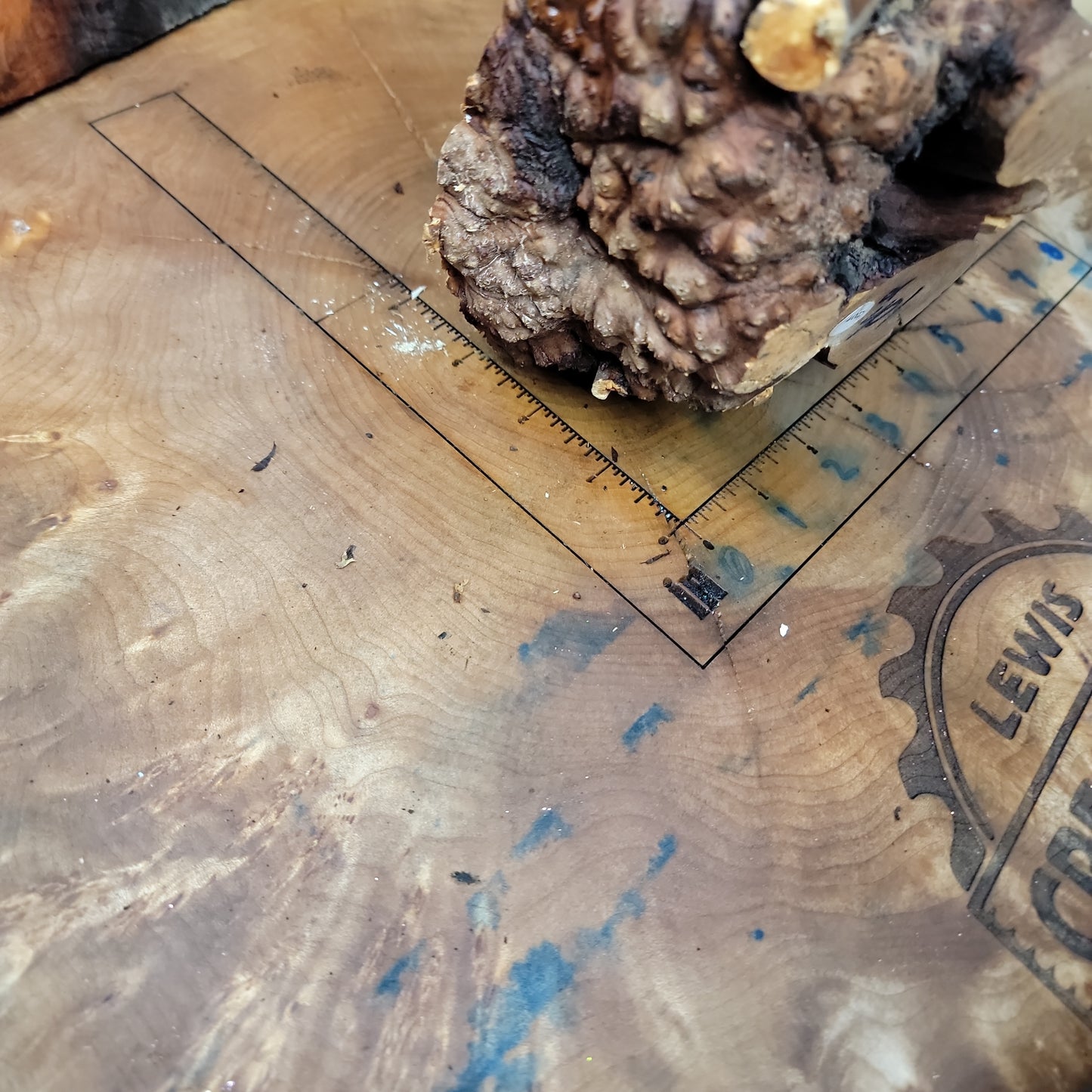 Manzanita burl end cut #947
