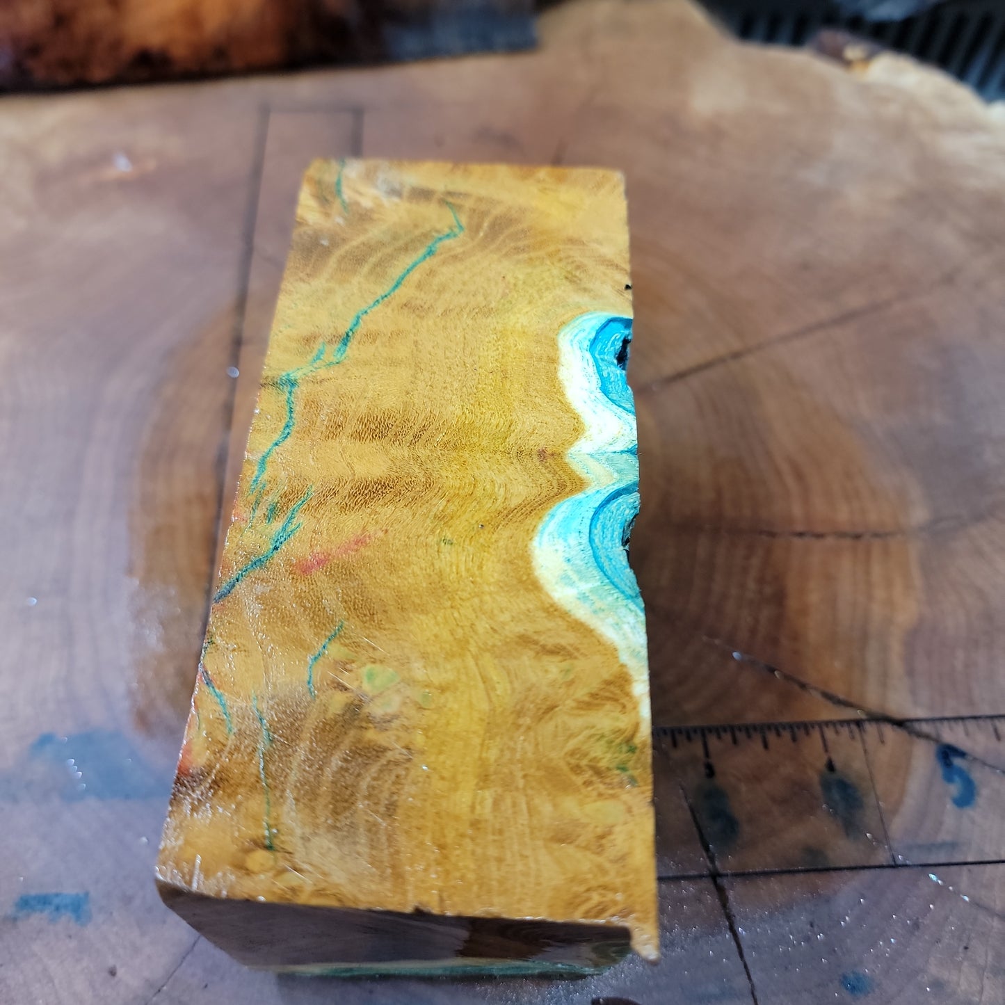Stabilized Mulberry burl blank wood working #953