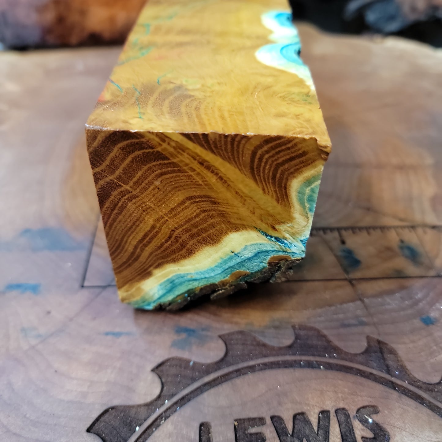 Stabilized Mulberry burl blank wood working #953