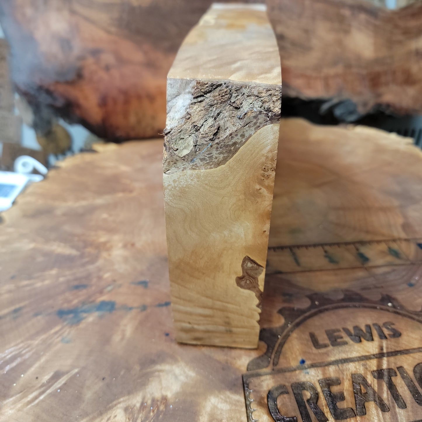 Large raw Maple burl block with spaulting and figure # 461