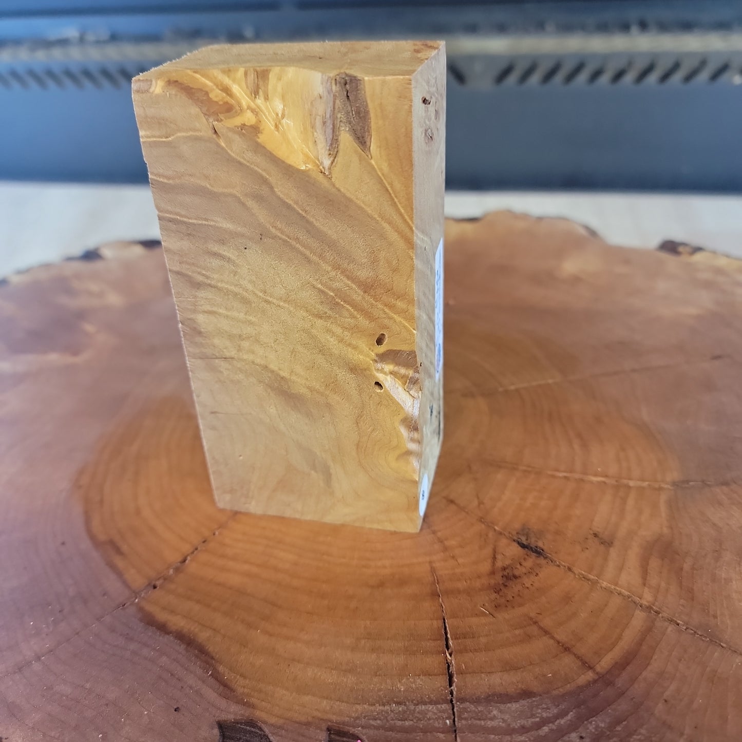 Maple Burl block #918
