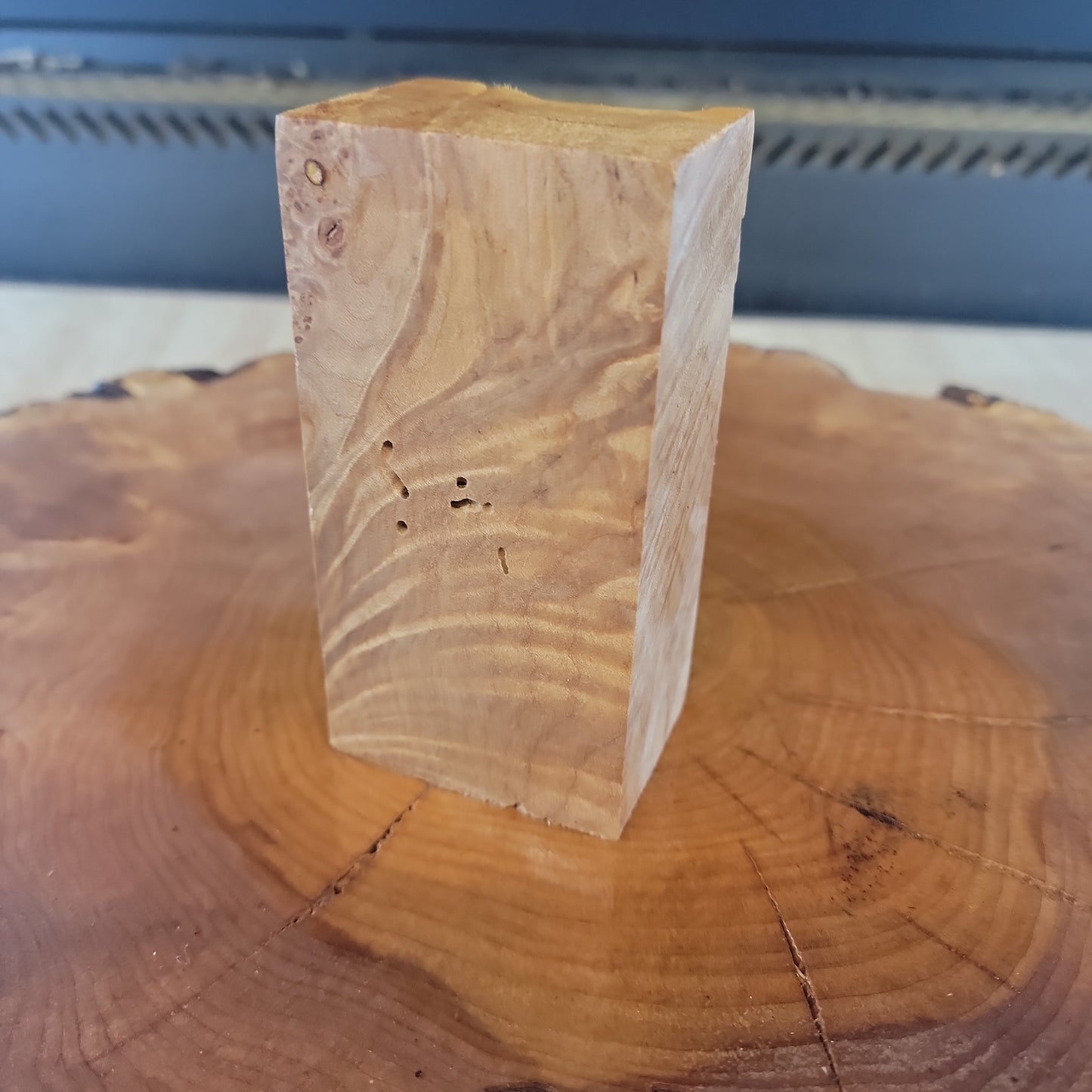 Maple Burl block #918