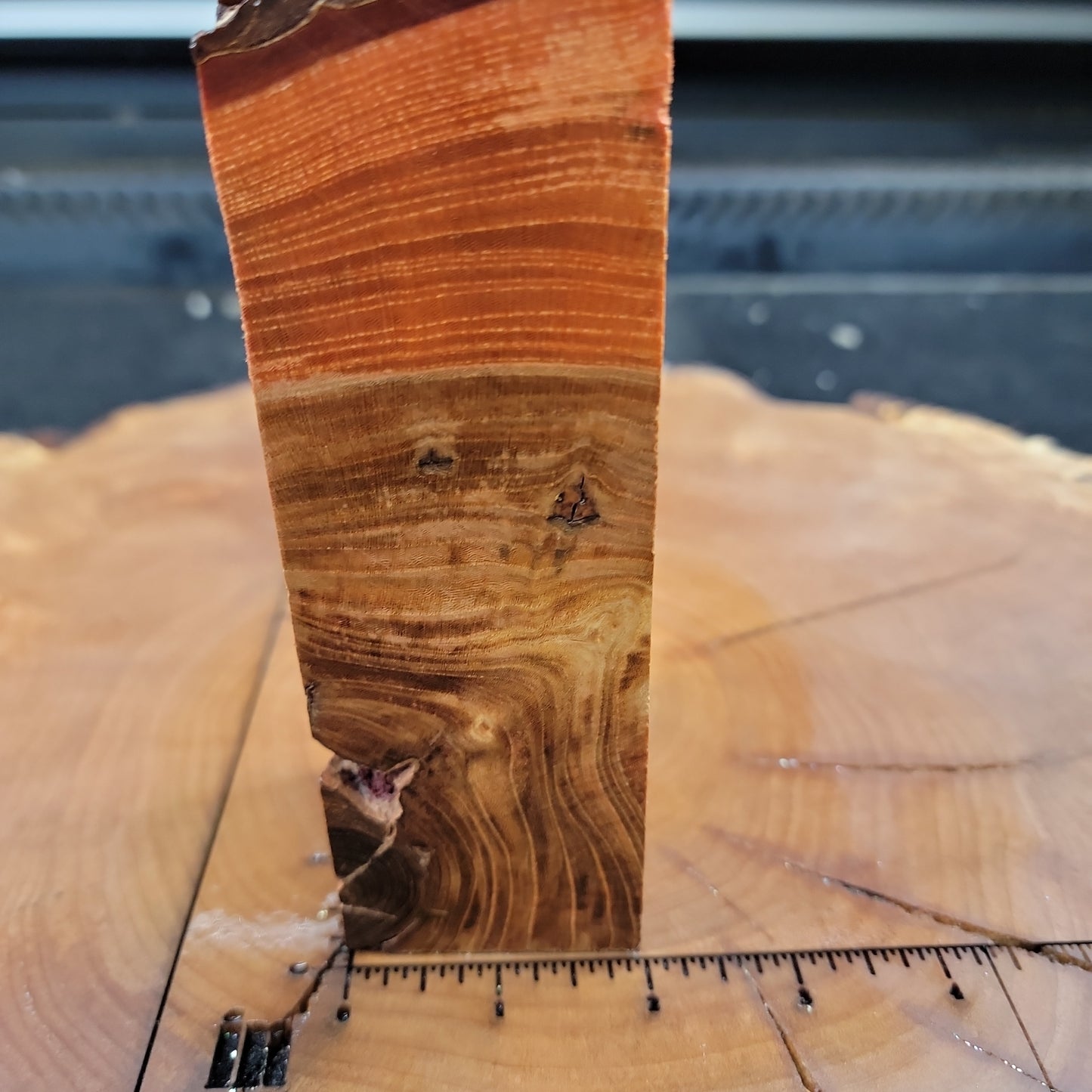 Stabilized Elm burl knife handle block wood wood turning resin #930