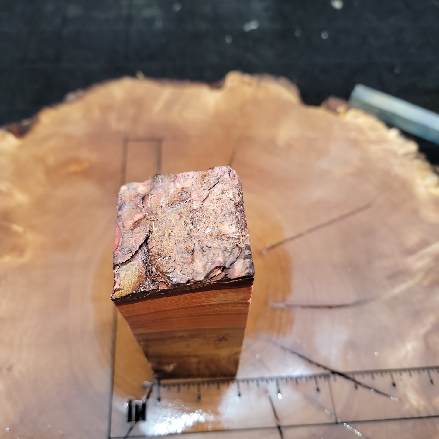 Stabilized Elm burl knife handle block wood wood turning resin #930