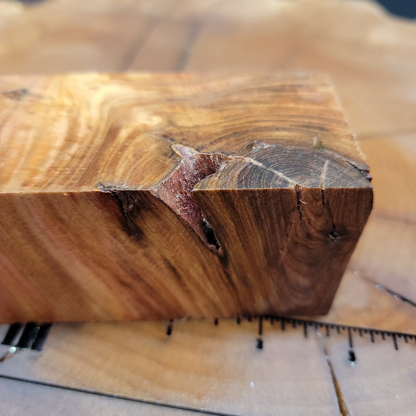 Stabilized Elm burl knife handle block wood wood turning resin #930