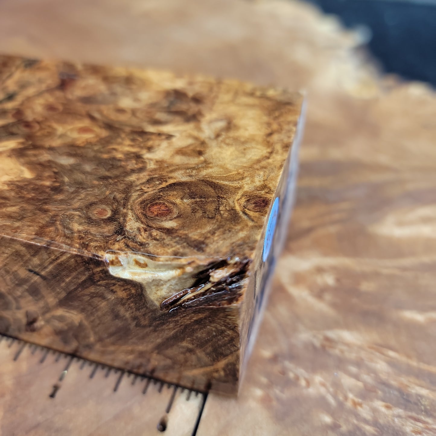 Stabilized maple burl knife scale wood turning woodworking block #936