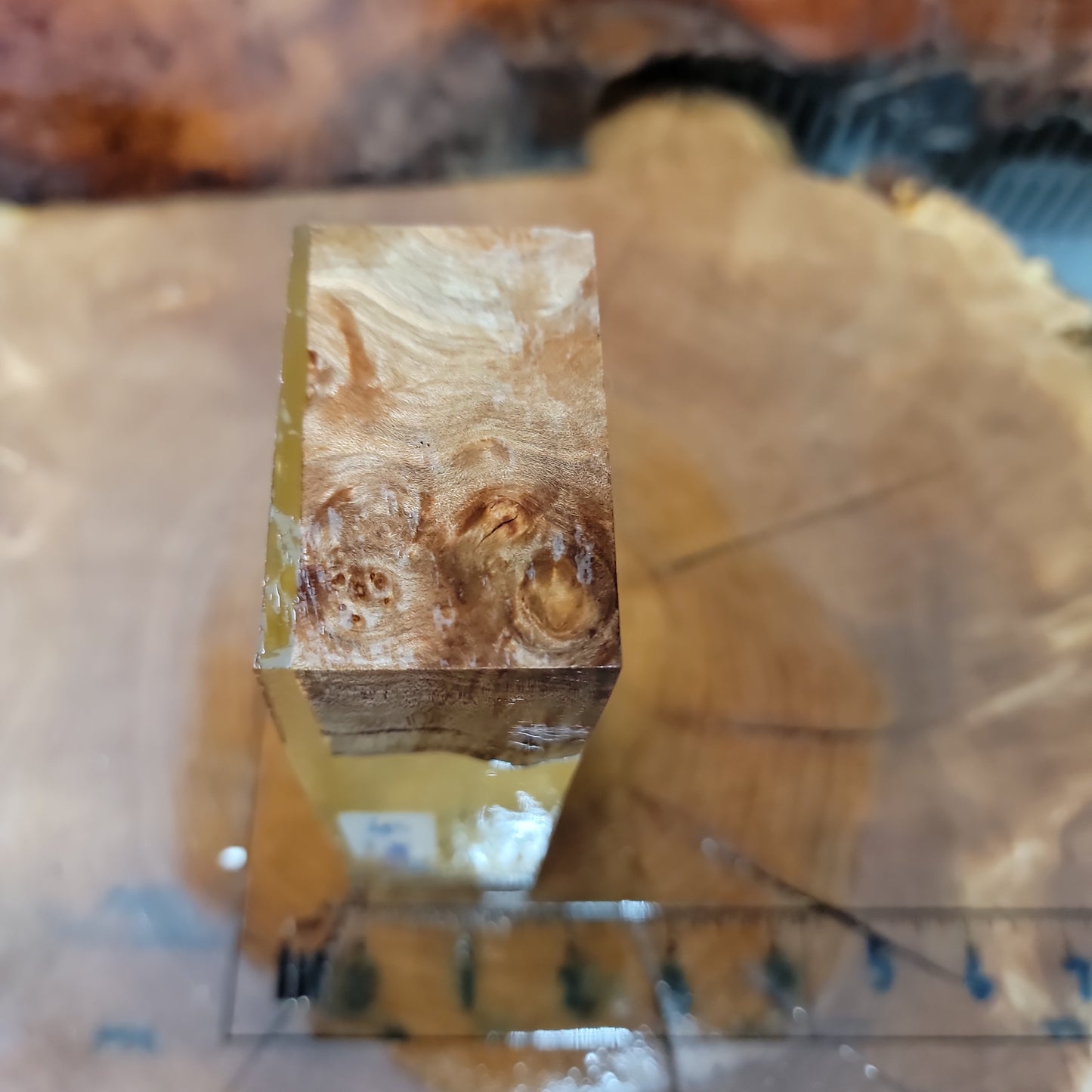 Salted maple hybrid knife handle scales #449