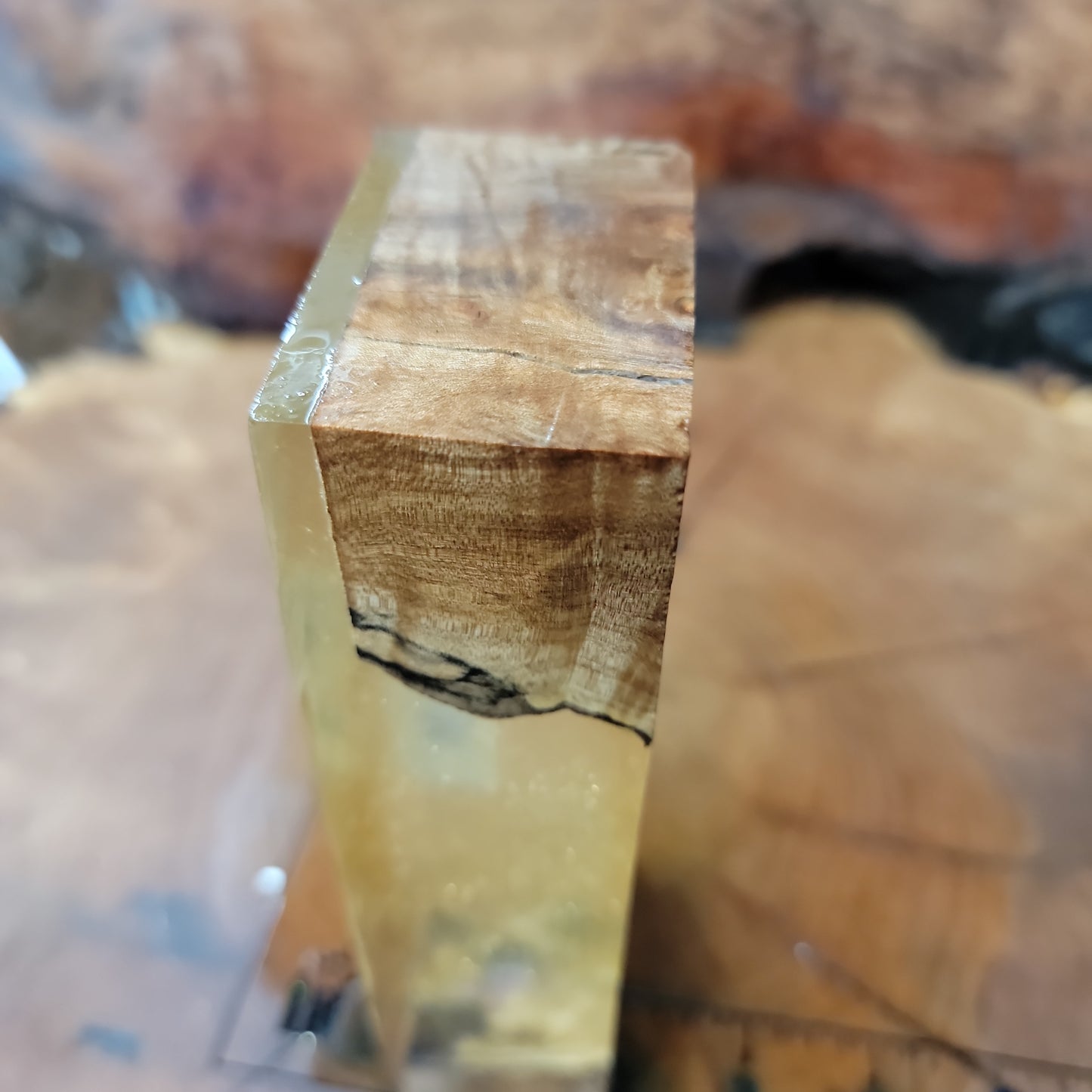 Salted maple hybrid knife handle scales #449