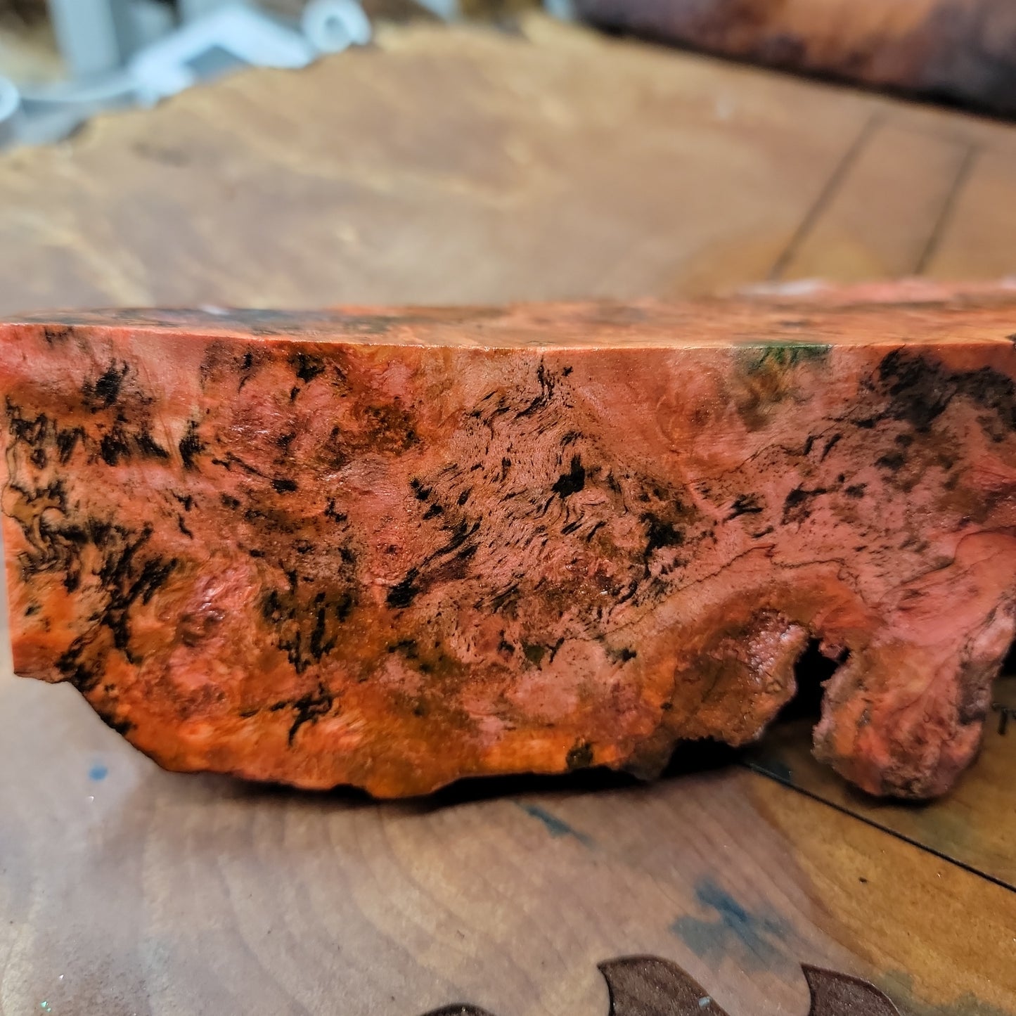 Stabilized maple burl live edge  blank  wood working  #950