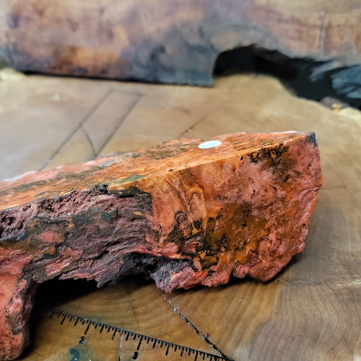 Stabilized maple burl live edge  blank  wood working  #950