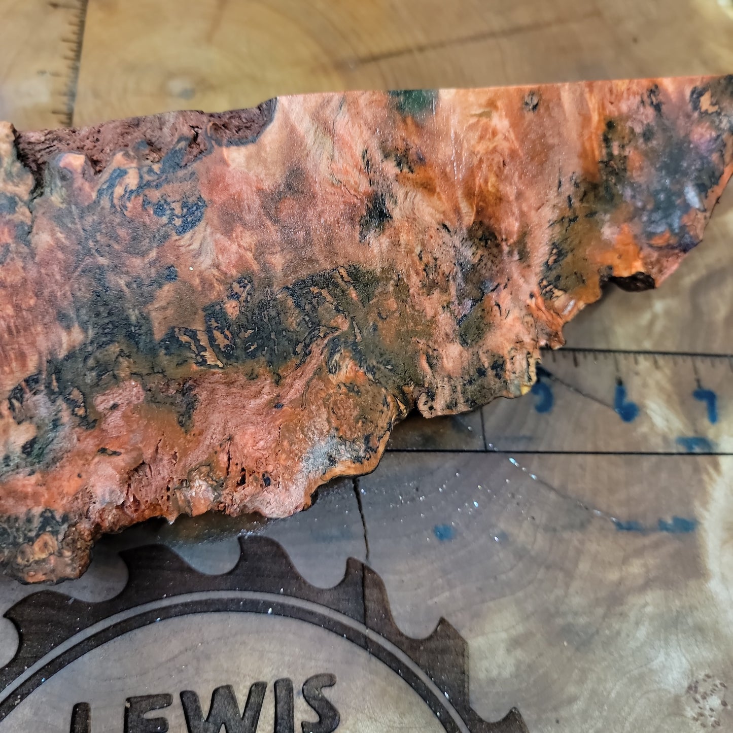 Stabilized maple burl live edge  blank  wood working  #950