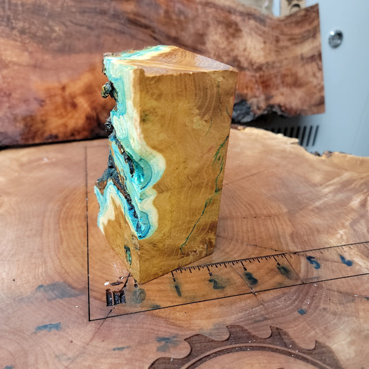 Stabilized Mulberry burl blank  wood working  #953