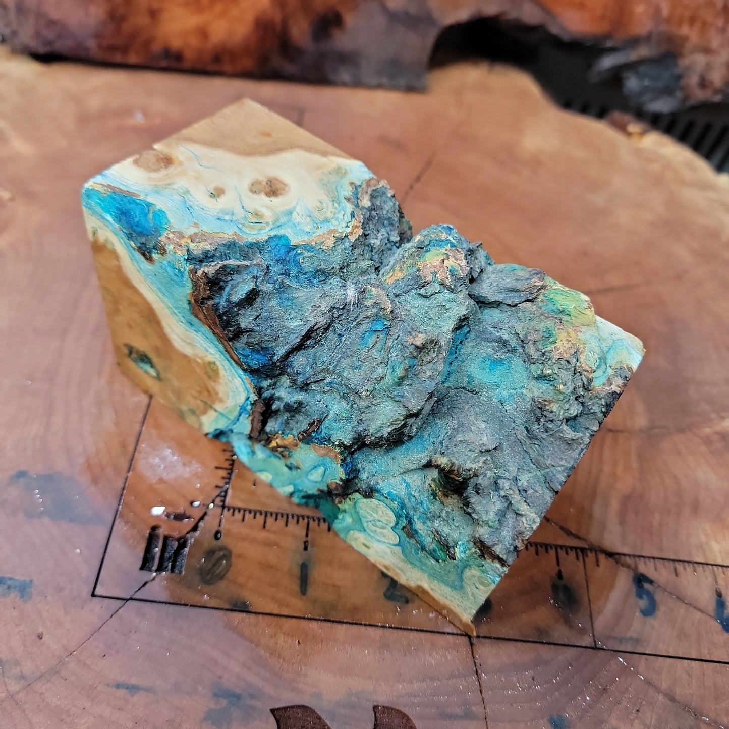 Stabilized Mulberry burl blank  wood working  #953