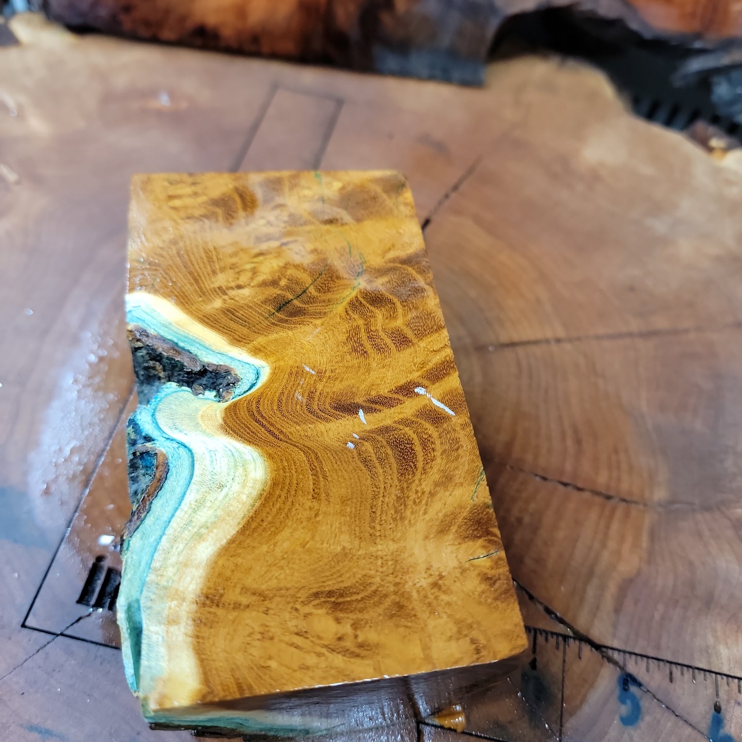 Stabilized Mulberry burl blank  wood working  #953