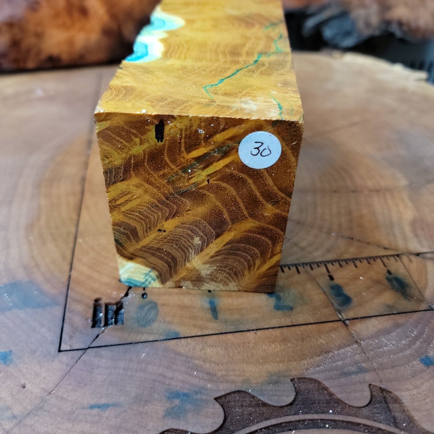 Stabilized Mulberry burl blank  wood working  #953