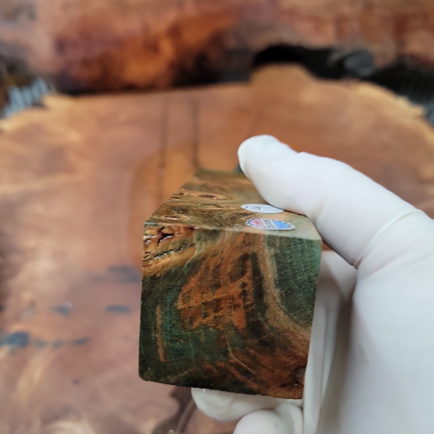 Stabilized Maple burl resin casting blank  wood working  #955